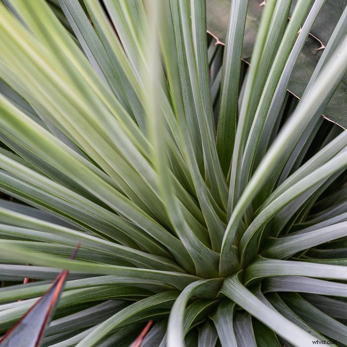 Master Lightroom s Color Grading Tool: Transform Photos Like a Pro