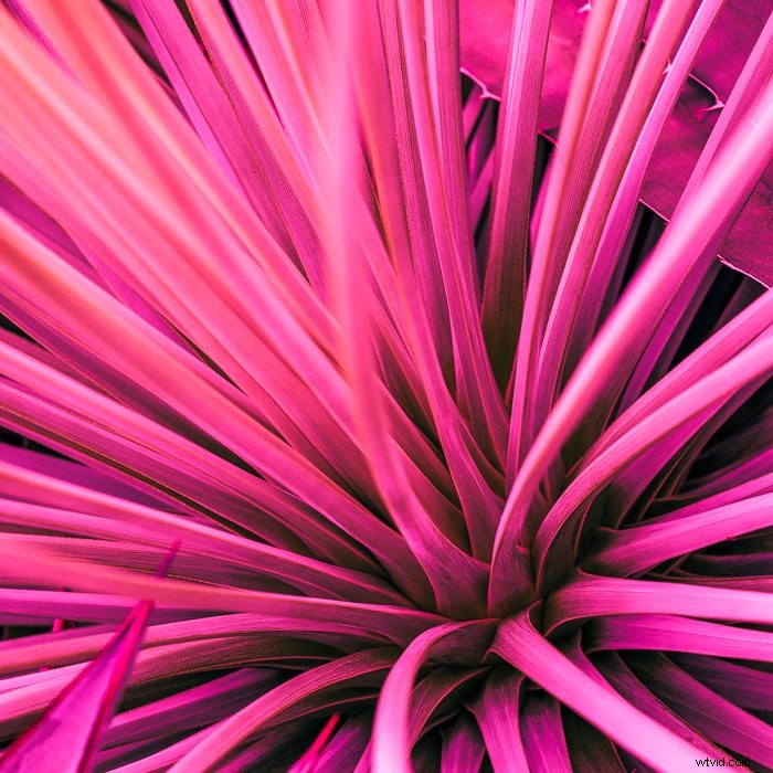 Master Lightroom s Color Grading Tool: Transform Photos Like a Pro