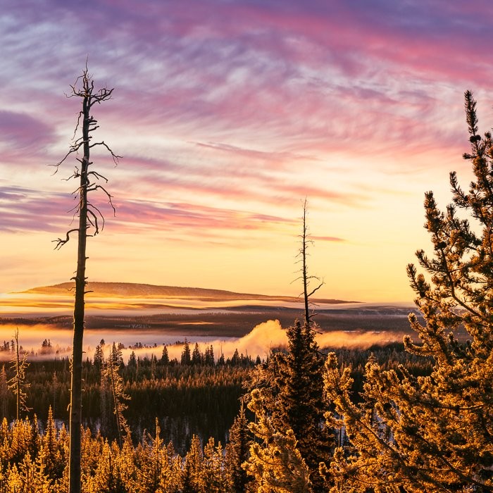 Master Lightroom s Color Grading Tool: Transform Photos Like a Pro