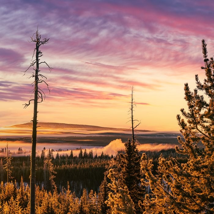 Master Lightroom s Color Grading Tool: Transform Photos Like a Pro