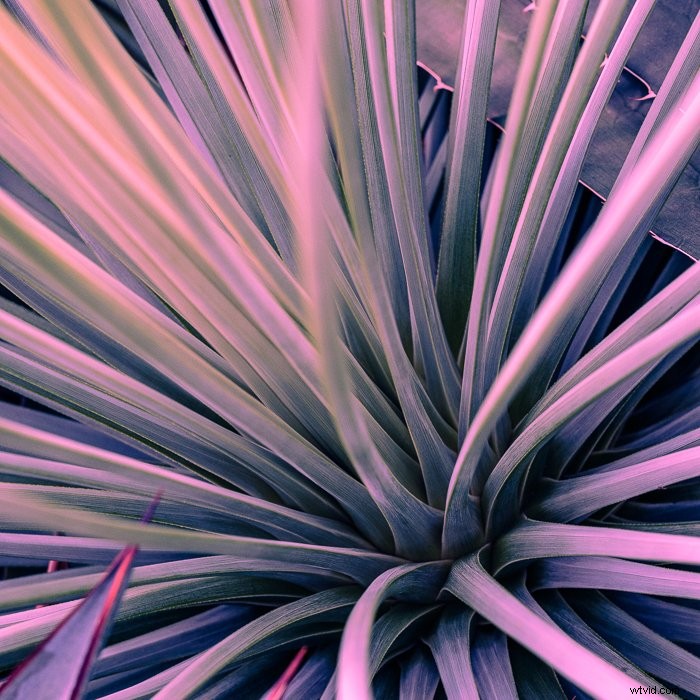 Master Lightroom s Color Grading Tool: Transform Photos Like a Pro