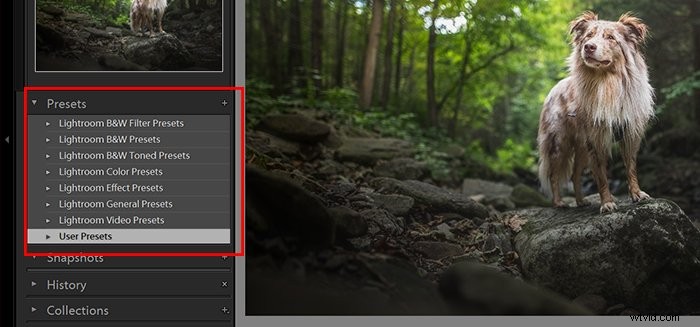 Ultimate Guide: How to Install, Create & Use Lightroom Develop Presets