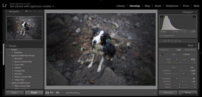 Ultimate Guide: How to Install, Create & Use Lightroom Develop Presets