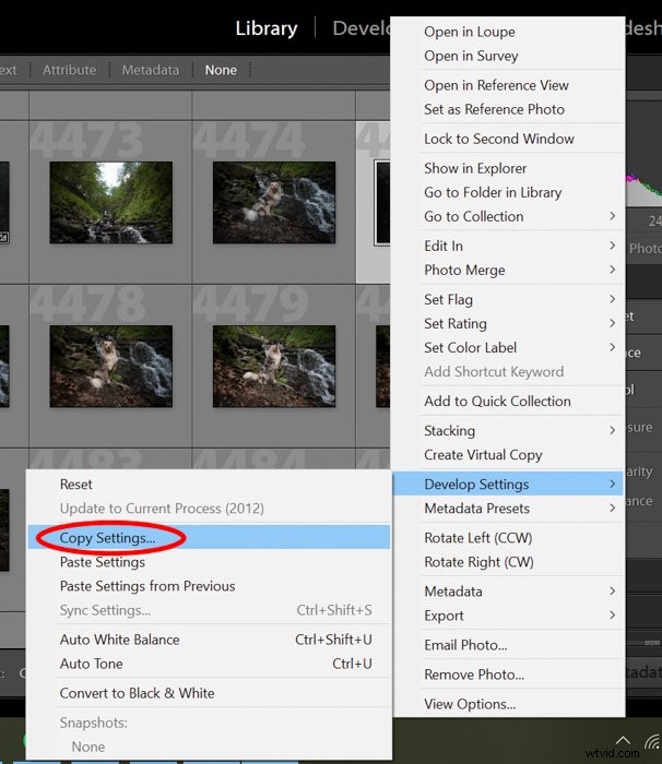 Ultimate Guide: How to Install, Create & Use Lightroom Develop Presets