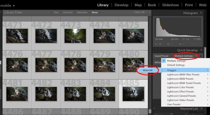 Ultimate Guide: How to Install, Create & Use Lightroom Develop Presets