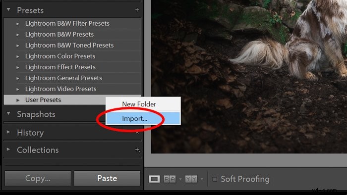 Ultimate Guide: How to Install, Create & Use Lightroom Develop Presets