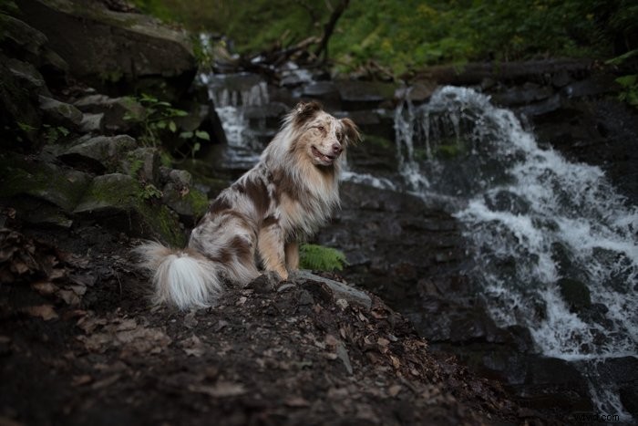 Ultimate Guide: How to Install, Create & Use Lightroom Develop Presets