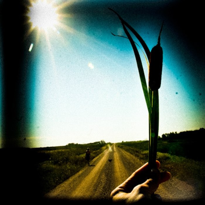 Top 37 Free Lightroom Presets: Transform Your Photos Like a Pro