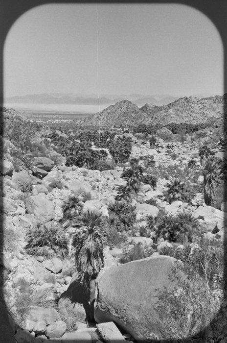 Top 37 Free Lightroom Presets: Transform Your Photos Like a Pro