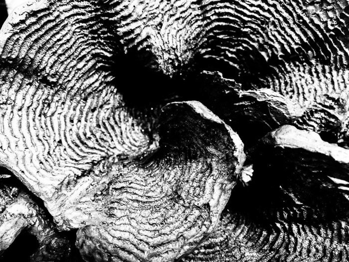 Master Stunning Abstract Photography with Your Smartphone: Easy Expert Tips