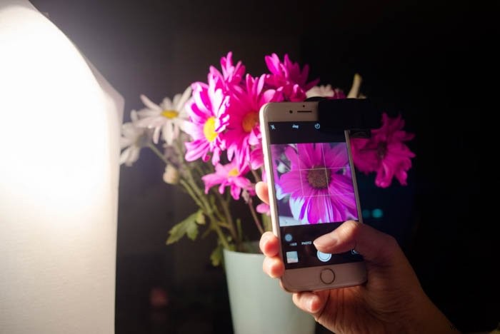 Master Macro iPhone Photography: 10 Proven Tips to Unlock Stunning Close-Ups