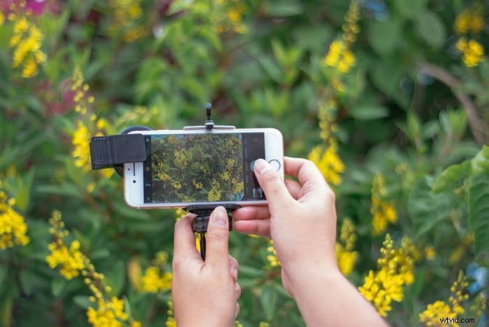 Master Macro iPhone Photography: 10 Proven Tips to Unlock Stunning Close-Ups