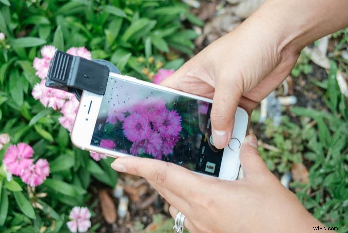 Master Macro iPhone Photography: 10 Proven Tips to Unlock Stunning Close-Ups