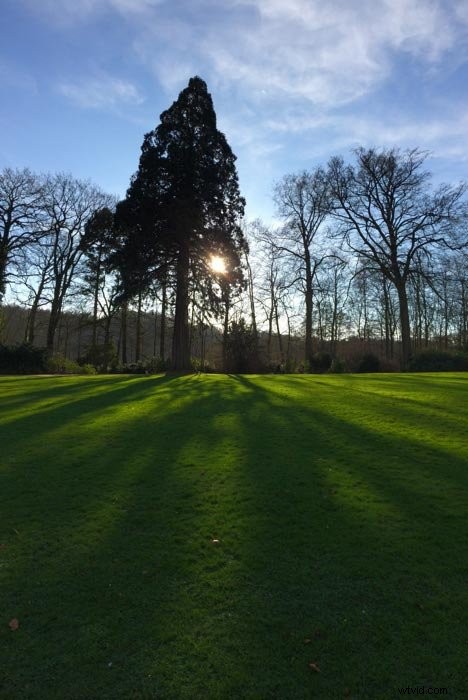 Master Smartphone Photography: Simple Pro Tips for Stunning Shots