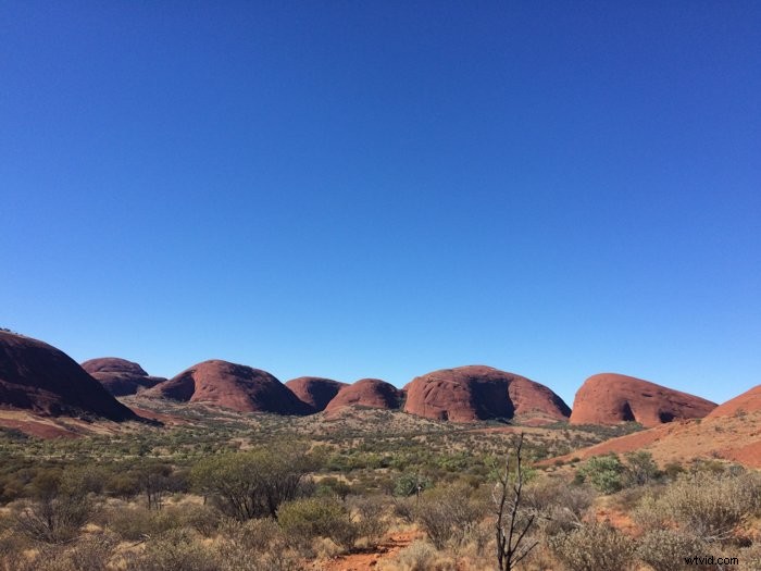 12 Creative Smartphone Photography Themes to Elevate Your Shots Today