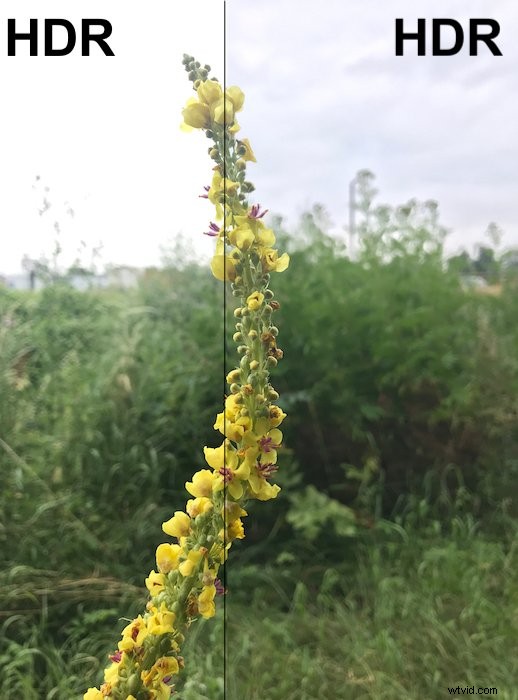 Master Your iPhone 8 Camera: 9 Expert Tips for Stunning Photos