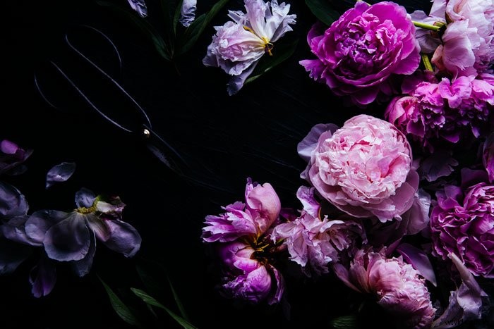 12 Expert Tips for Stunning Flower Photography with Your Smartphone