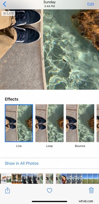 Master iPhone Live Photos: How to Capture, Edit & Share Effortlessly
