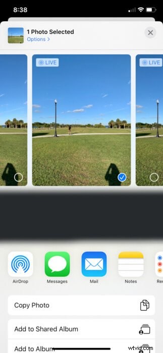Master iPhone Live Photos: How to Capture, Edit & Share Effortlessly
