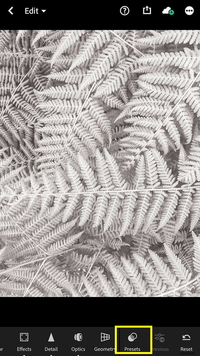 Easy Guide: Install Lightroom Mobile Presets Without a Desktop