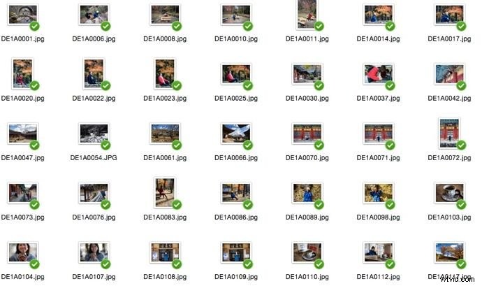 Easy Step-by-Step Guide: Transfer Photos from iPhone to Mac or Windows PC