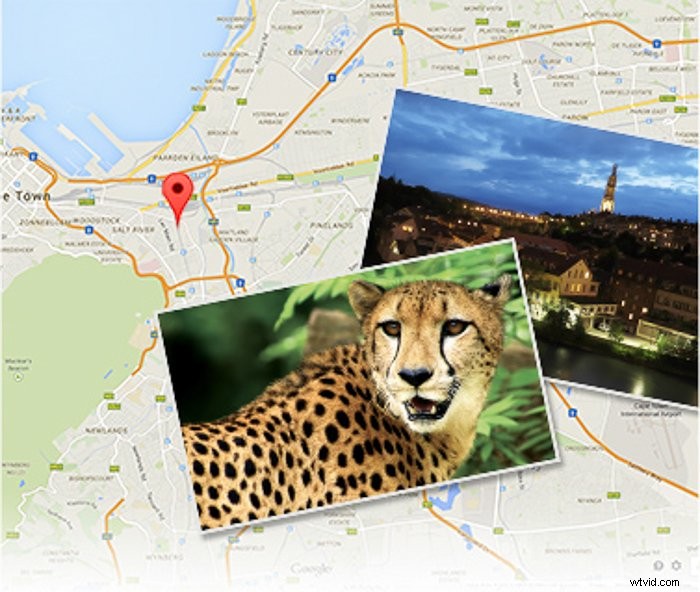 Ultimate Guide: How to Use Canon Camera Connect App for Remote Control