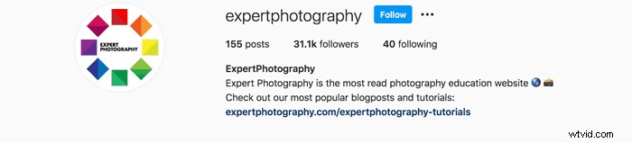 Instagram Profile Picture Size Guide 2024: Optimal Dimensions + Free Template