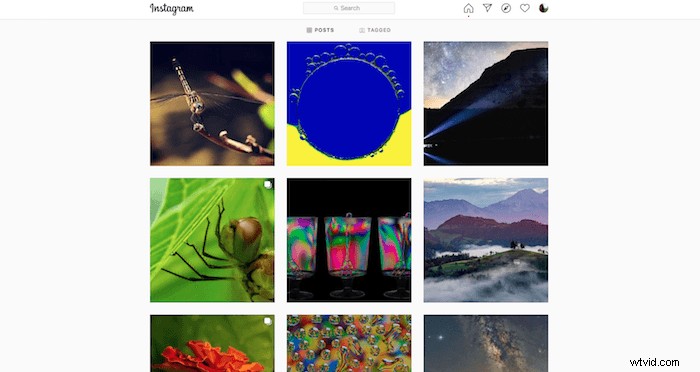 Instagram Profile Picture Size Guide 2024: Optimal Dimensions + Free Template