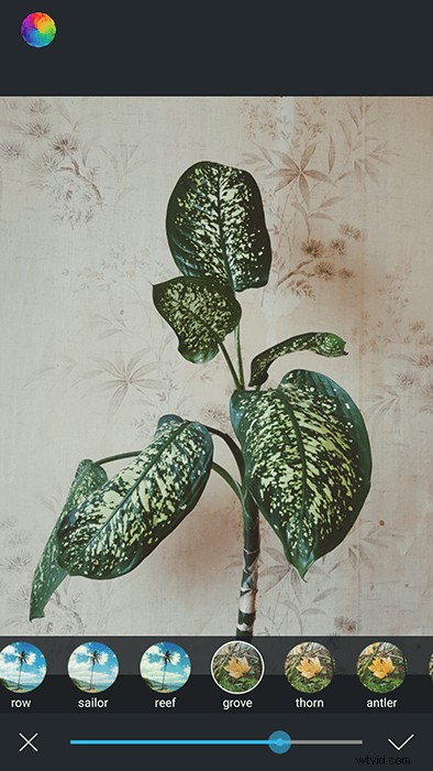 Master Afterlight: Pro Guide to Stunning Photo Edits on iPhone & Android