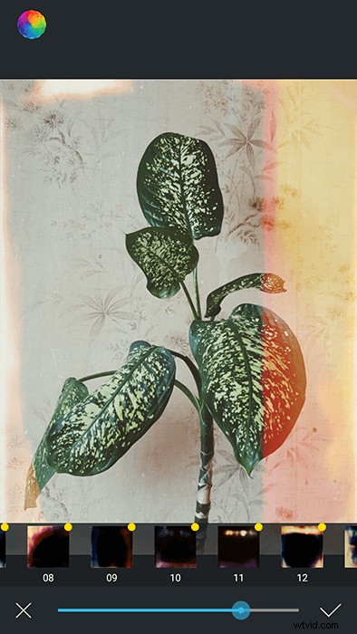 Master Afterlight: Pro Guide to Stunning Photo Edits on iPhone & Android