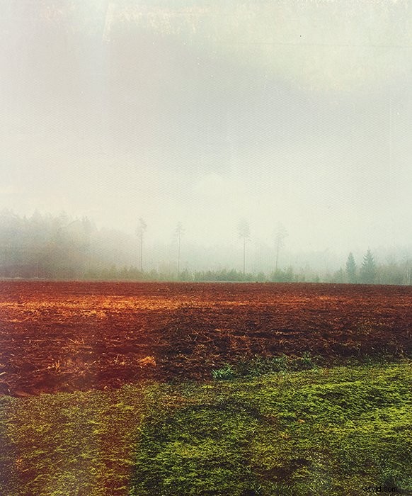 Master Afterlight: Pro Guide to Stunning Photo Edits on iPhone & Android