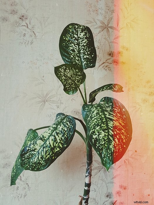 Master Afterlight: Pro Guide to Stunning Photo Edits on iPhone & Android