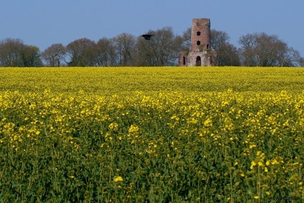 Master Horizontal Lines to Elevate Your Photography Composition