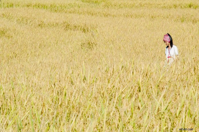 Master Creative Photography: Break Composition Rules for Stunning Results