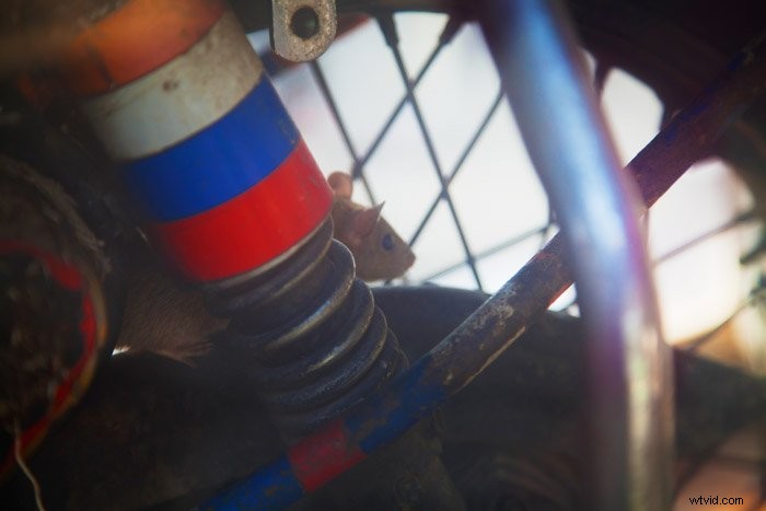 Master Natural Framing: Elevate Your Photo Composition Skills