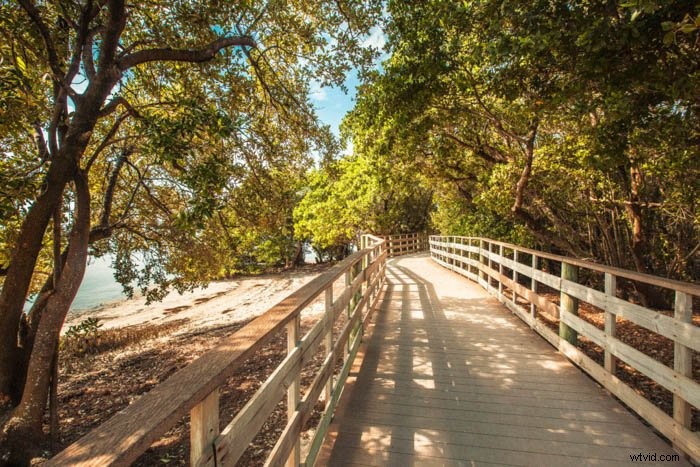 Master 8 Essential Photography Composition Techniques for Stunning Travel Photos