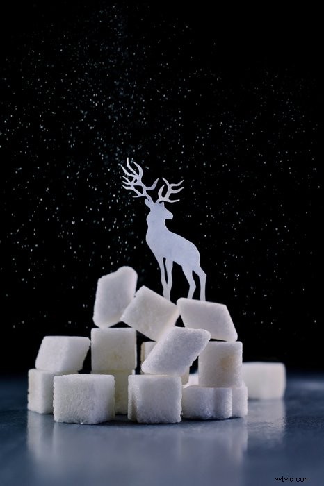 10 Christmas-Inspired Still Life Photography Ideas for Festive Magic