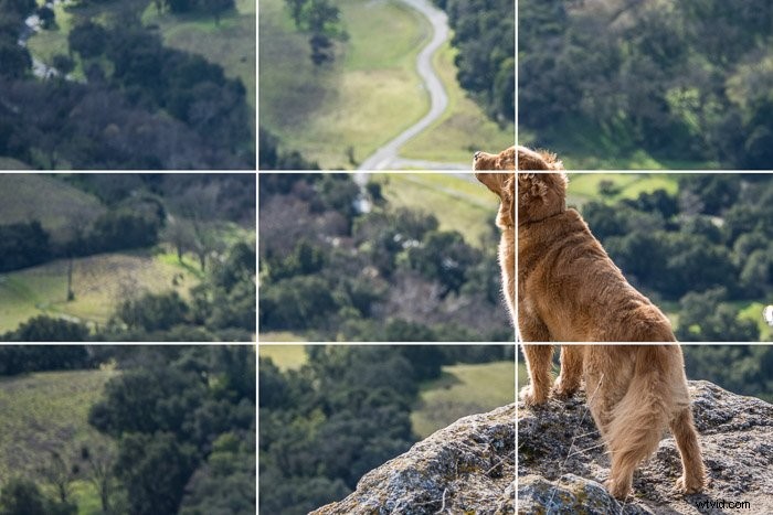 Master the Rule of Thirds: Essential Guide to Stunning Photo Composition