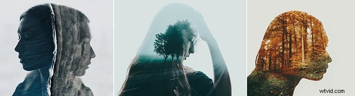 12 Expert Tips and Creative Ideas for Stunning Triptych Photography