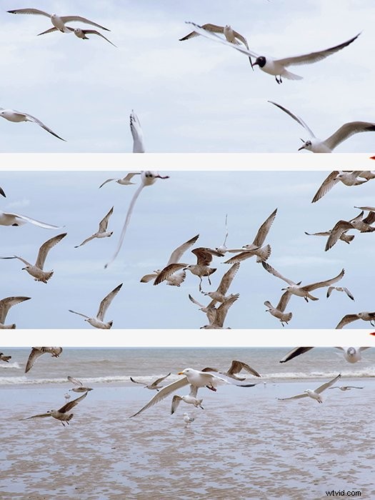 12 Expert Tips and Creative Ideas for Stunning Triptych Photography