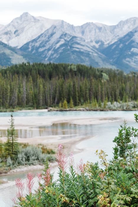 Mastering Foreground, Midground, and Background: Add Depth to Your Photography