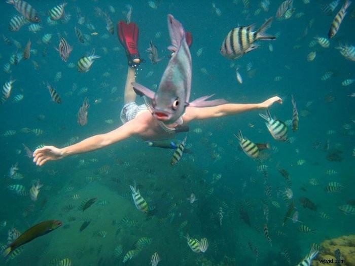 30 Jaw-Dropping Perfectly Timed Photos Capturing Epic Moments