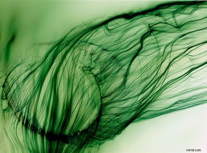 Portrait vs. Landscape Orientation: Ultimate Guide for Photographers