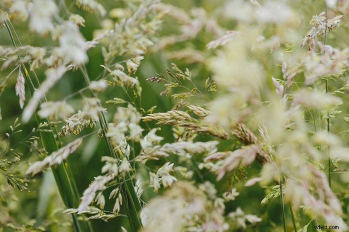 Portrait vs. Landscape Orientation: Ultimate Guide for Photographers