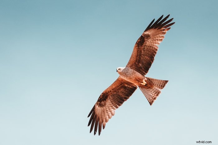 Mastering Symbolism in Photography: A Guide to Understanding and Using Symbols Effectively