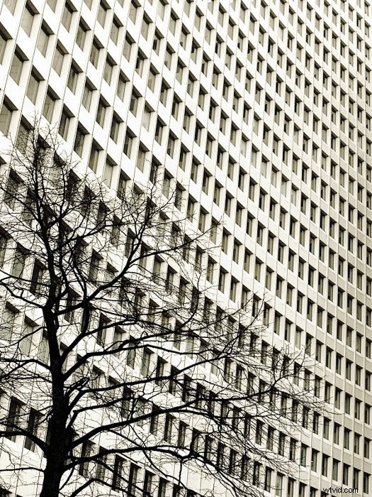 27 Stunning Juxtaposition Photography Examples to Ignite Your Creativity