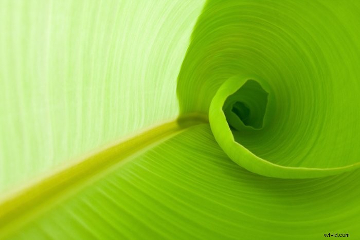 Master the Golden Ratio: Essential Composition Techniques for Stunning Photography