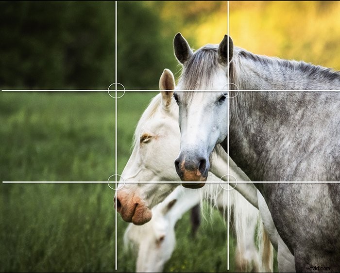 Master the 21 Essential Composition Rules for Stunning Photography