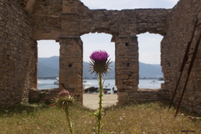 Mastering Photo Composition: Essential Beginner s Guide