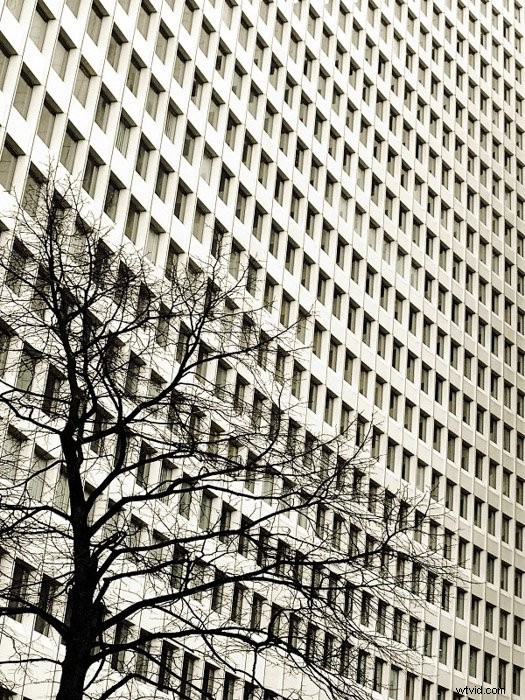 Master Visual Weight: 8 Essential Techniques for Pro Photography Composition